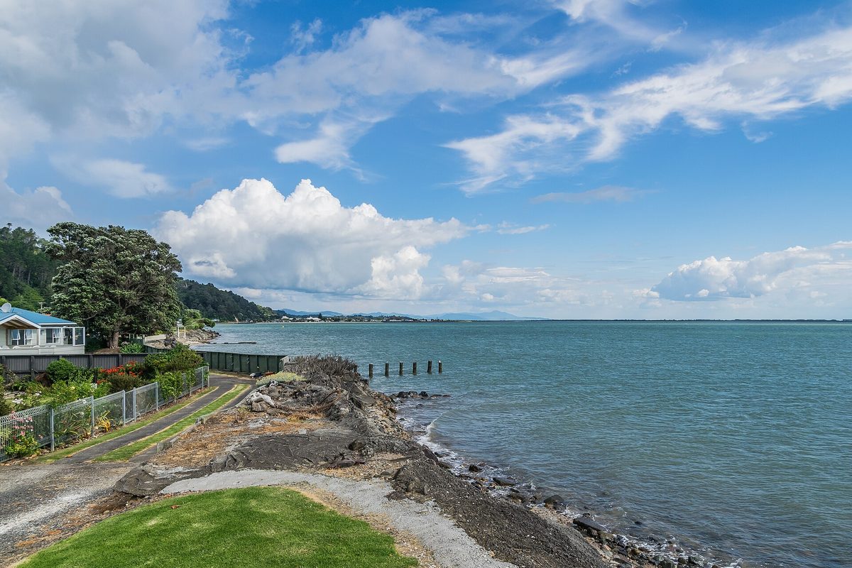 The Firth of Thames shoreline near the Thames Coastal Walkway