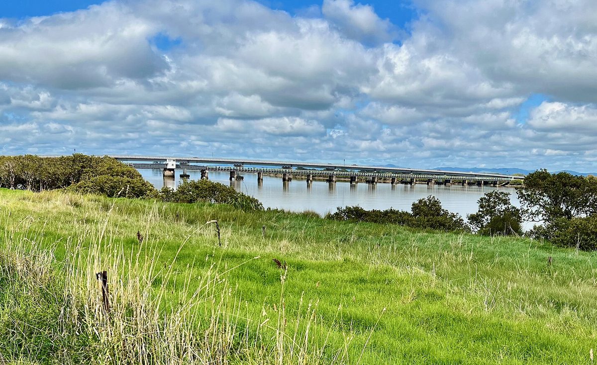 The Kopu bridge seen from the Hauraki Rail Trail near Thames