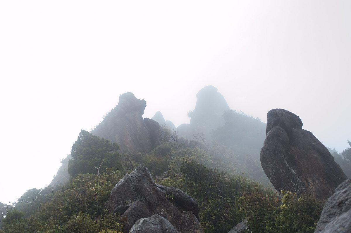 Rock spires of the Pinnacles summit in the Coromandel Forest Park